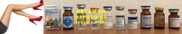сатива Аркадак