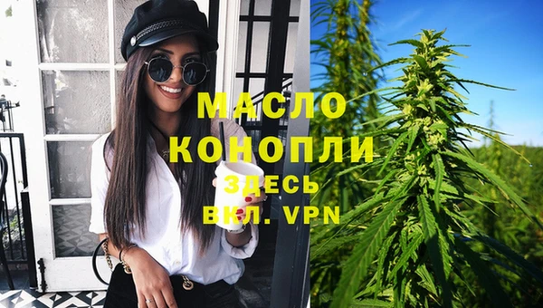 сатива Аркадак