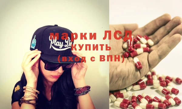 сатива Аркадак