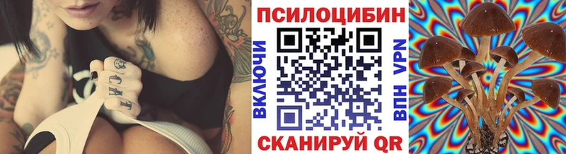 Псилоцибиновые грибы GOLDEN TEACHER Белорецк